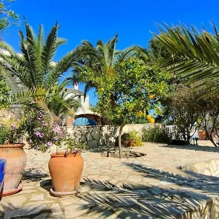 Maya * Denia